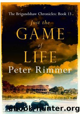 Just the Game of Life by Peter Rimmer