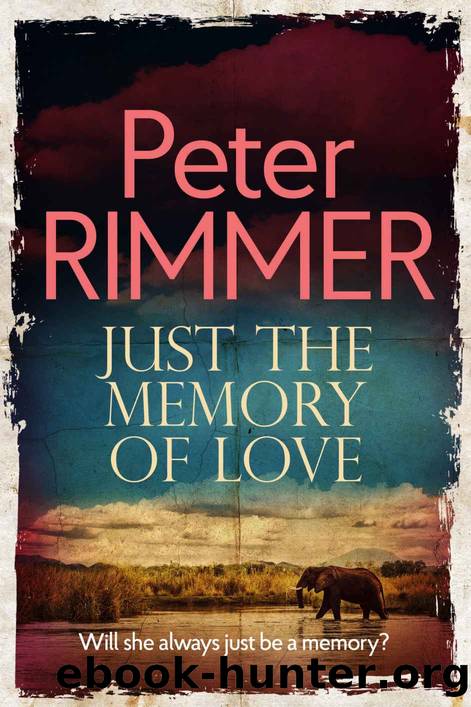 Just the Memory of Love by Peter Rimmer
