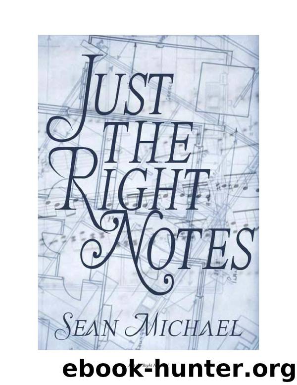 Just the right notes by Sean Michael