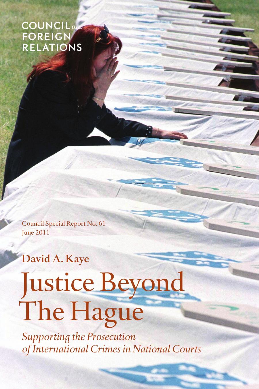 Justice Beyond the Hague : Supporting the Prosecution of International Crimes in National Courts by David A. Kaye