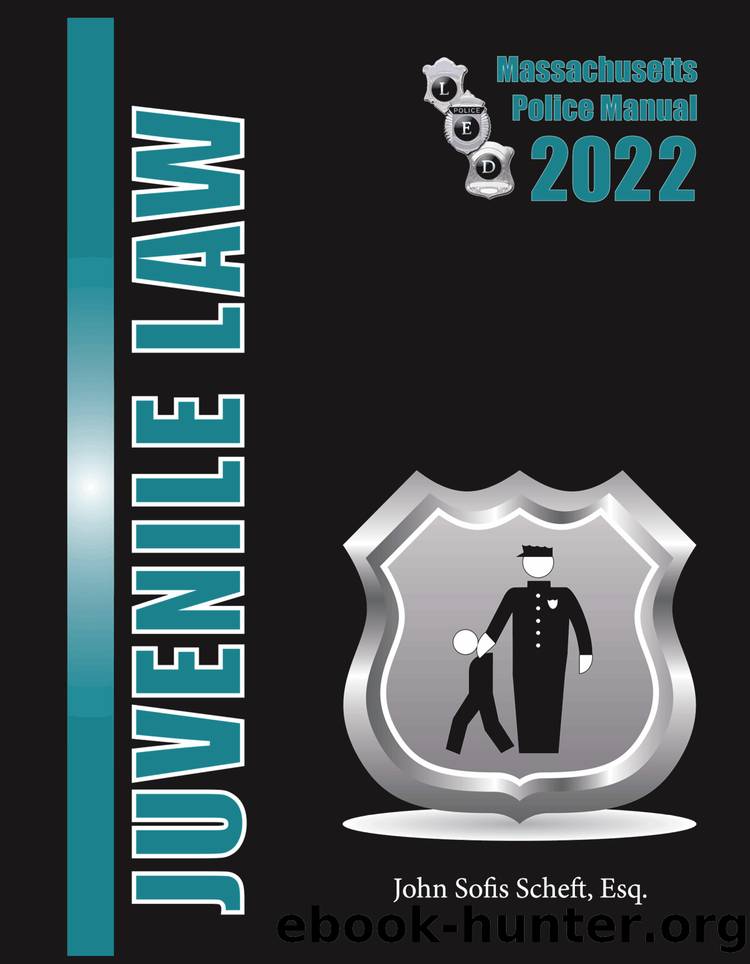 Juvenile Law 2022 by John Sofis Scheft