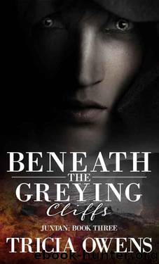 Juxtan 3 - Beneath the Greying Cliffs by Owens Tricia