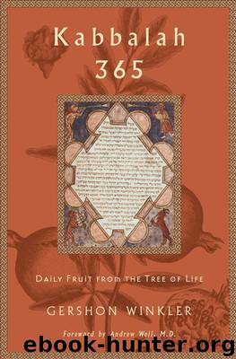 Kabbalah 365 by Gershon Winkler