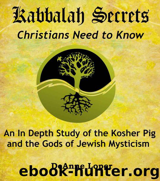 Kabbalah Secrets Christians Need to Know: An In Depth Study of the Kosher Pig and the Gods of Jewish Mysticism by Deanne Loper