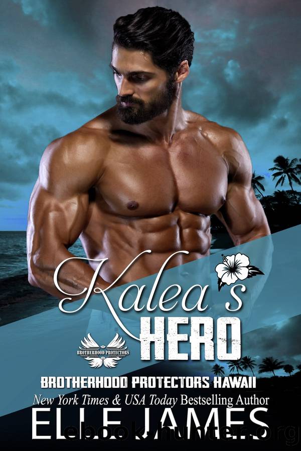 Kalea's Hero by Elle James