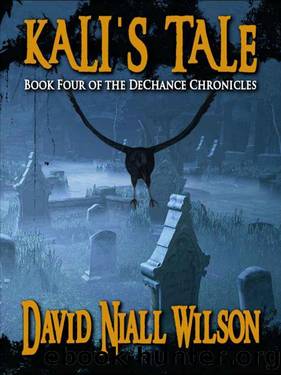Kali's Tale by David Niall Wilson