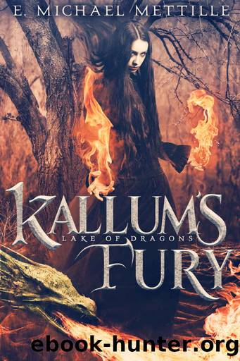 Kallum's Fury (Lake of Dragons Book 2) by E. Michael Mettille