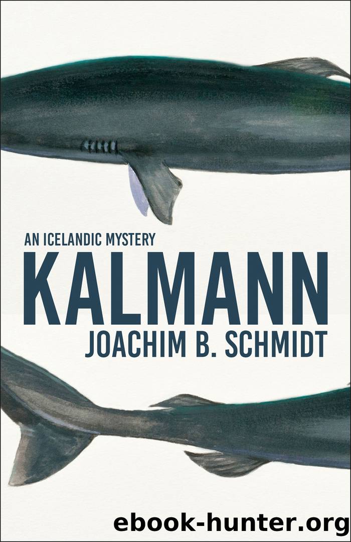 Kalmann by Joachim Schmidt