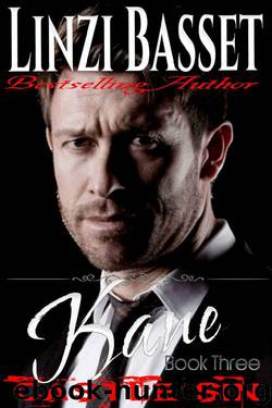 Kane (Castle Sin Book 3) by Linzi Basset