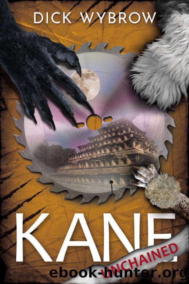 Kane Unchained by Dick Wybrow