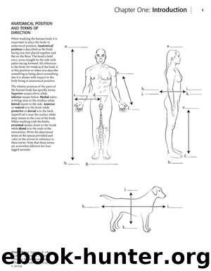 Kaplan Anatomy Coloring Book.pdf by unknow
