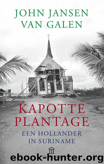 Kapotte plantage by John Jansen van Galen