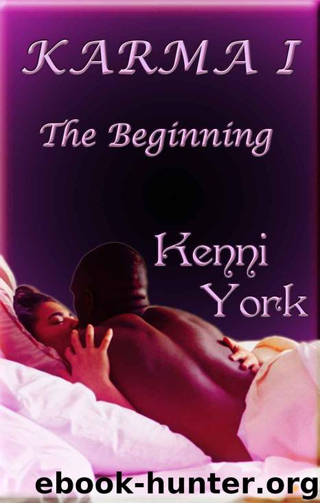 Karma 1: The Beginning (Volume 1) by Kenni York