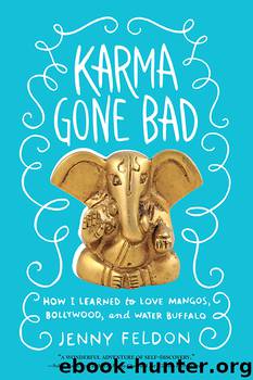 Karma Gone Bad by Jenny Feldon