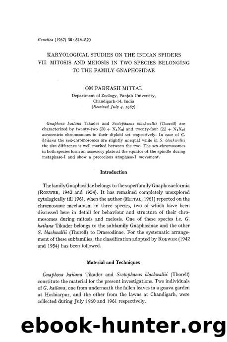 Karyological studies on the Indian spiders VII. Mitosis and meiosis in two species belonging to the family gnaphosidae by Unknown