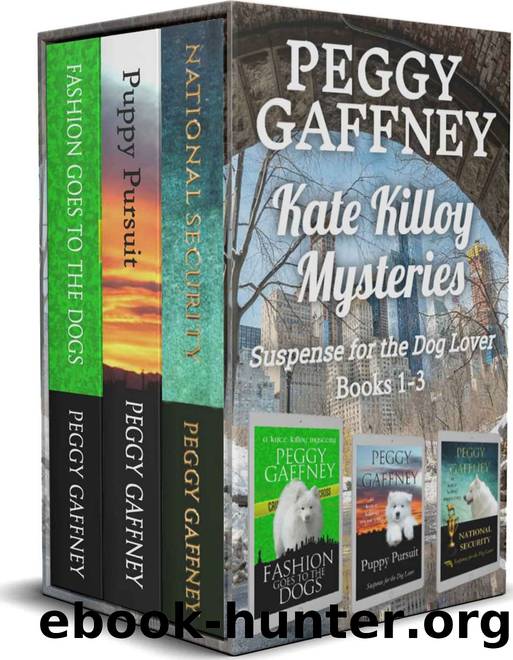 Kate Killoy Mysteries Box Set by Peggy Gaffney