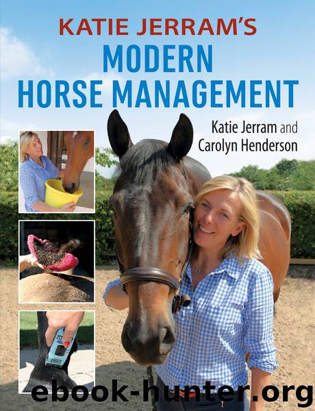 Katie Jerram's Modern Horse Management by Katie Jerram