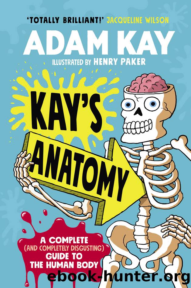 Kayâs Anatomy: A Complete (and Completely Disgusting) Guide to the Human Body by Adam Kay