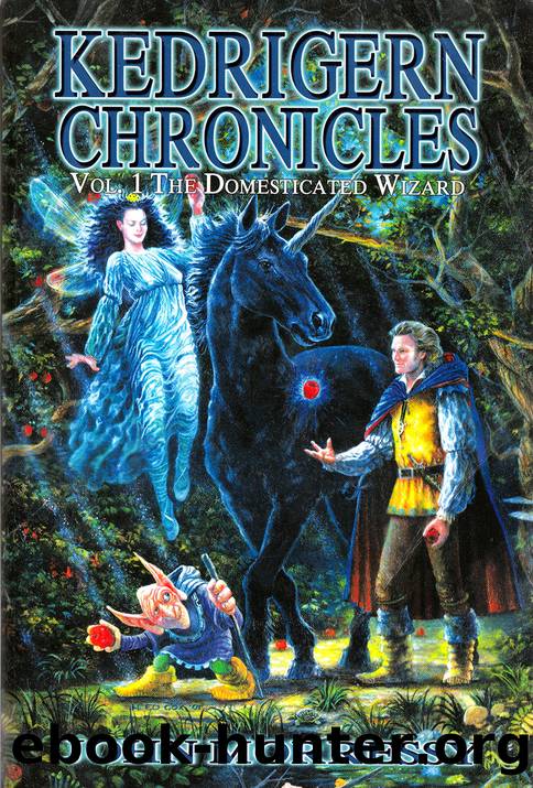 Kedrigern Chronicles vol 1 by John Morressy
