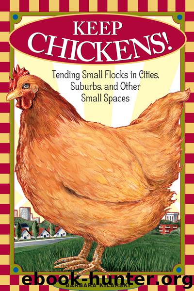 Keep Chickens! by Barbara Kilarski