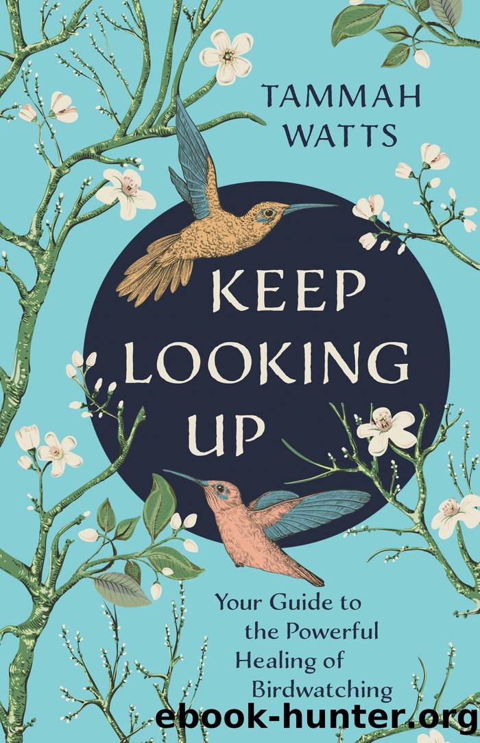 Keep Looking Up: Your Guide to the Powerful Healing of Birdwatching by Tammah Watts