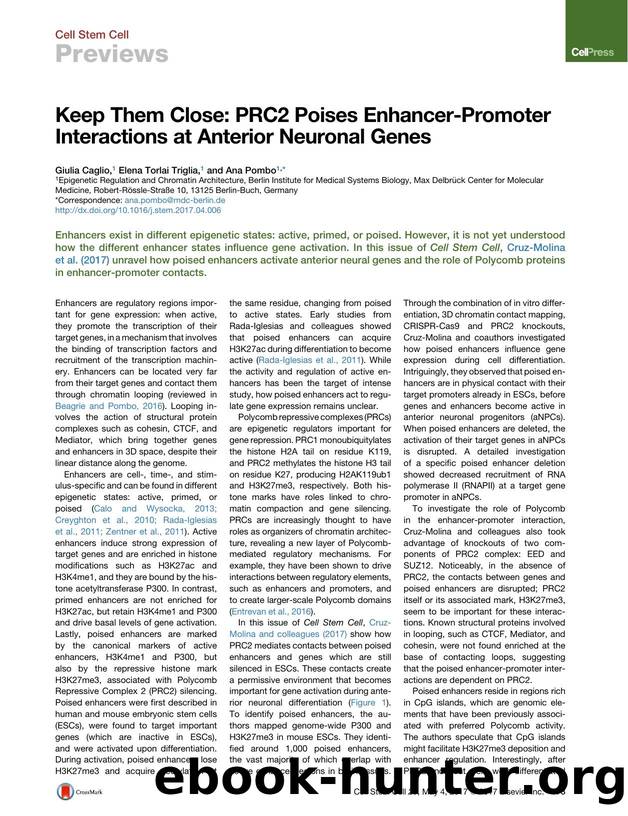 Keep Them Close: PRC2 Poises Enhancer-Promoter Interactions at Anterior Neuronal Genes by Giulia Caglio & Elena Torlai Triglia & Ana Pombo
