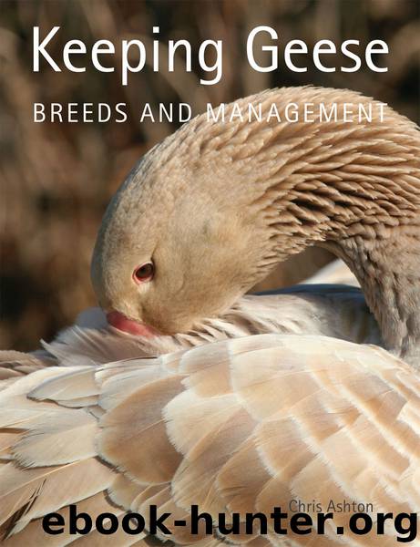 Keeping Geese by Chris Ashton