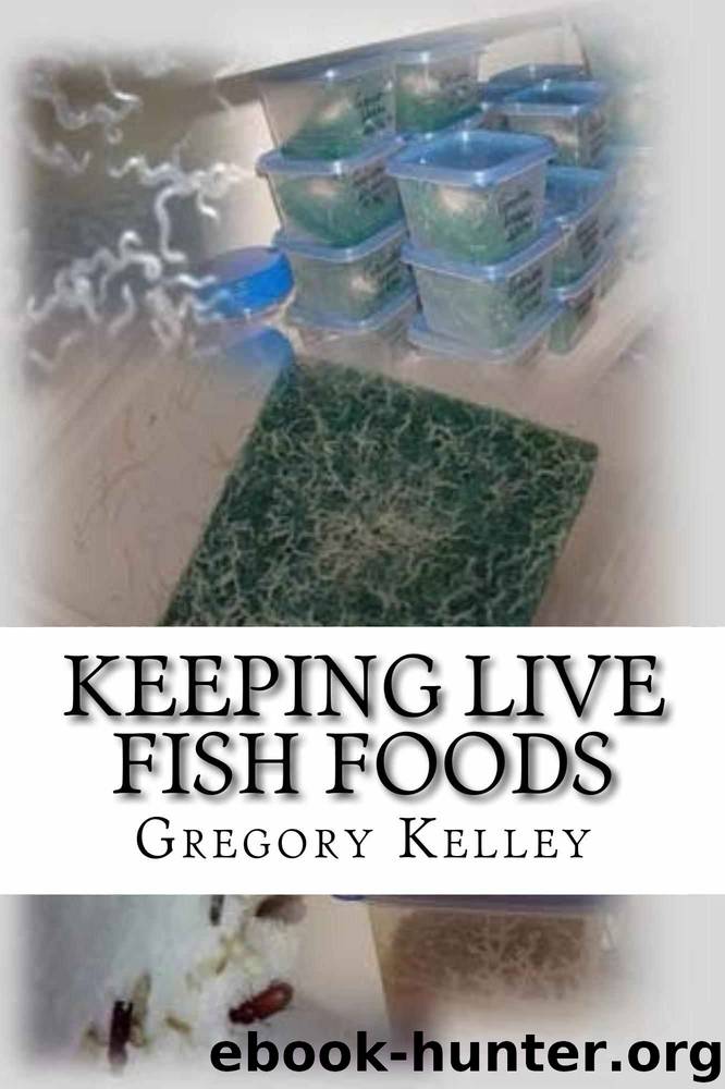 Keeping Live Fish Foods by Gregory Kelley