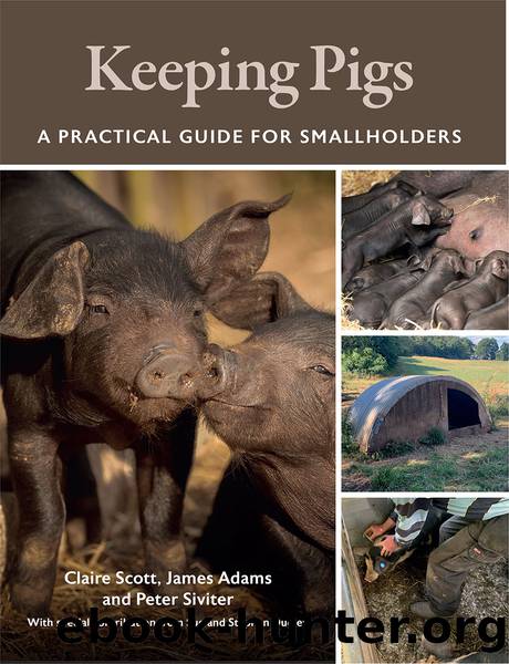 Keeping Pigs by Scott Claire;Adams James;Siviter Peter;Dudley Sue &&amp;