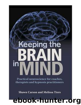 Keeping the Brain in Mind: Practical Neuroscience for Coaches, Therapists, and Hypnosis Practitioners by Carson Shawn & Tiers Melissa