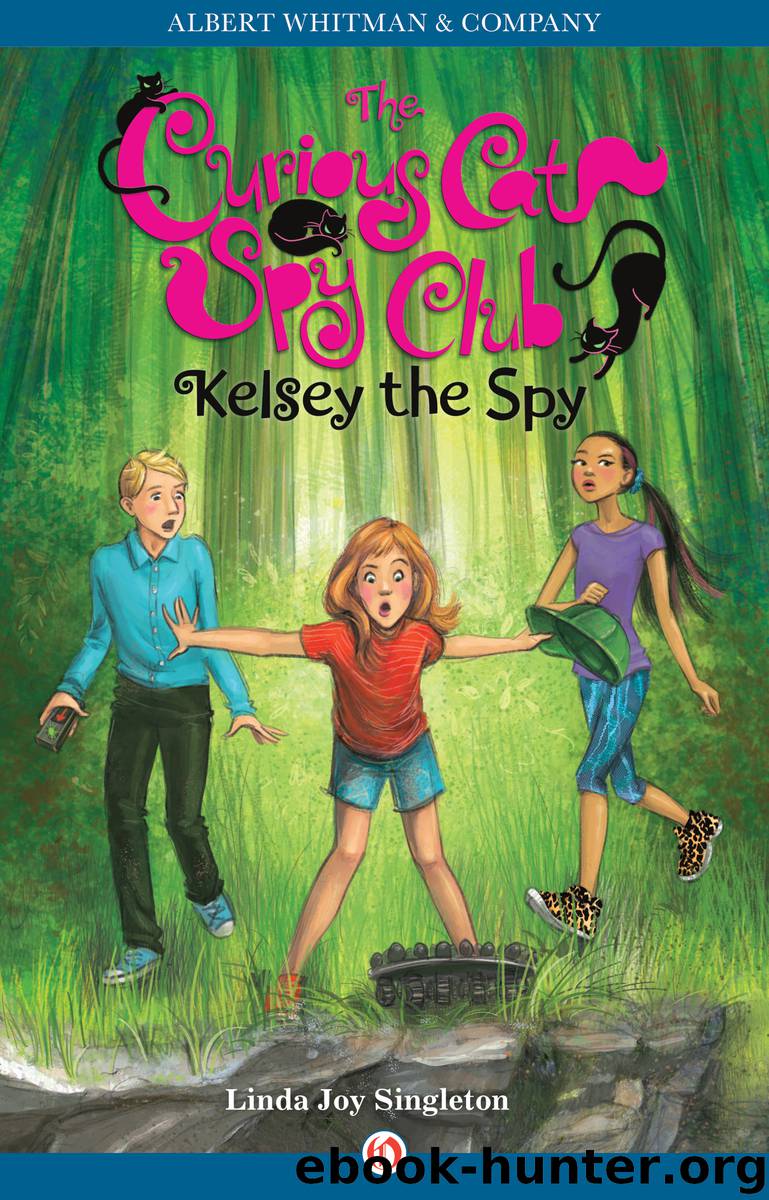Kelsey the Spy by Linda J Singleton