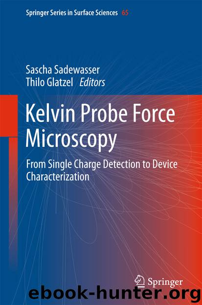 Kelvin Probe Force Microscopy by Sascha Sadewasser & Thilo Glatzel