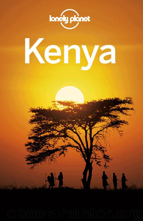 Kenya by Lonely Planet