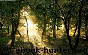 Kenyon, Sherrilyn - Dark Hunter 08 by Night Play