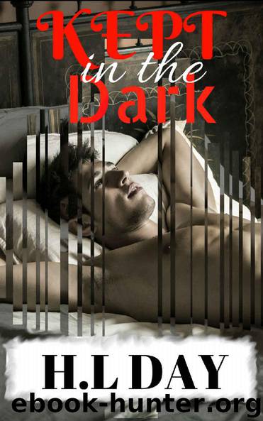 Kept in the Dark by HL Day