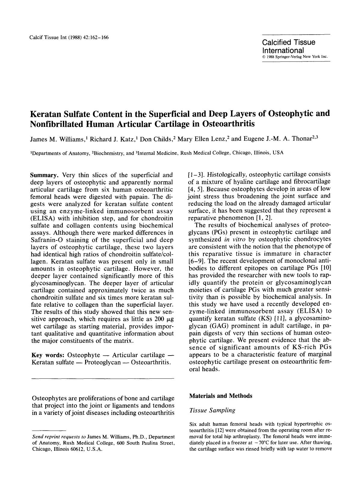 Keratan sulfate content in the superficial and deep layers of osteophytic and nonfibrillated human articular cartilage in osteoarthritis by Unknown