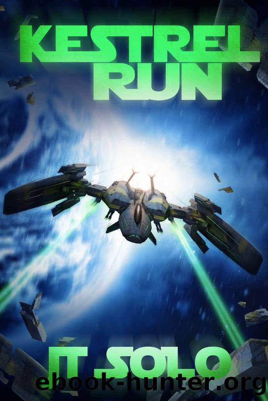 Kestrel Run by J T Solo