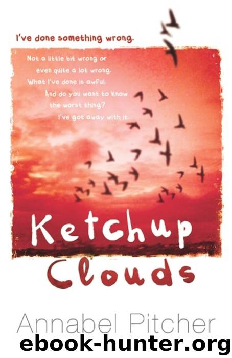 Ketchup Clouds by Annabel Pitcher