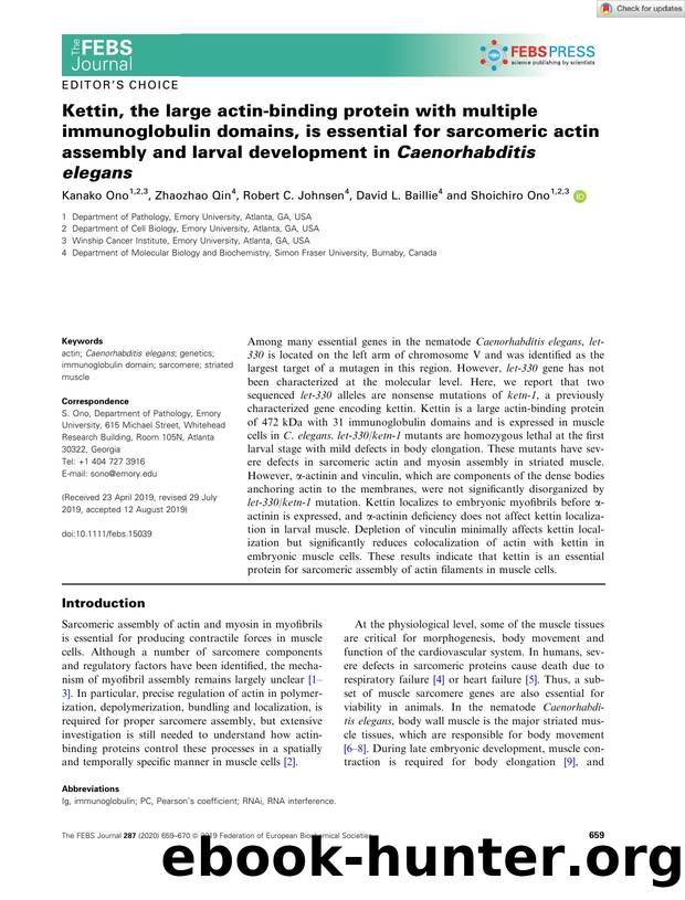 Kettin, the large actinâbinding protein with multiple immunoglobulin domains, is essential for sarcomeric actin assembly and larval development in CaenorhabditisÂ elegans by Unknown