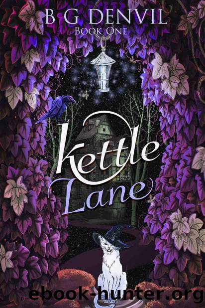 Kettle Lane by B G Denvil