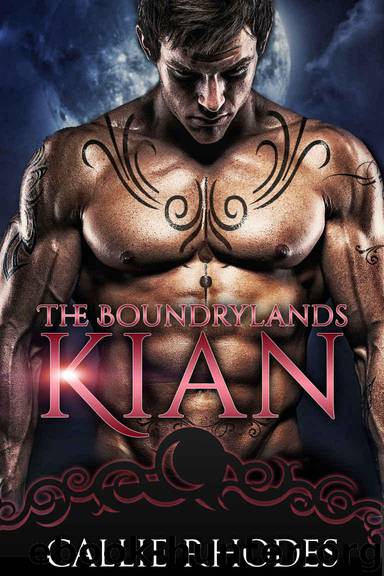 Kian: The Boundarylands Omegaverse: MF Alpha Omega Romance by Rhodes Callie