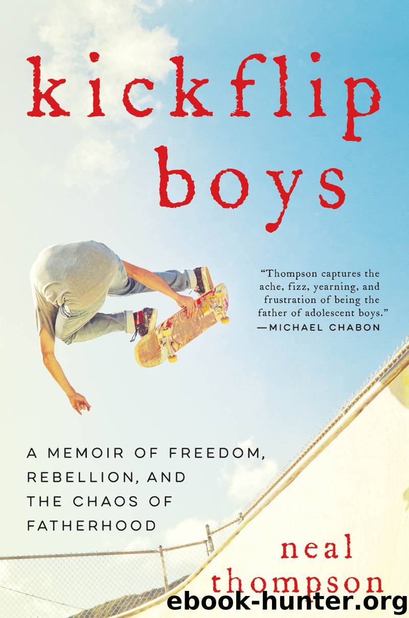 Kickflip Boys by Neal Thompson