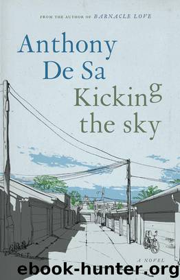 Kicking the Sky by Anthony De Sa
