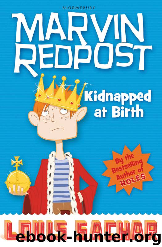 Kidnapped at Birth by Louis Sachar