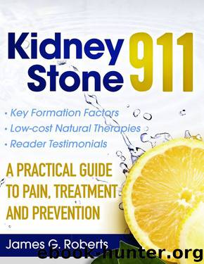 Kidney Stone 911: A Practical Guide to Pain, Treatment and Prevention by Roberts James G