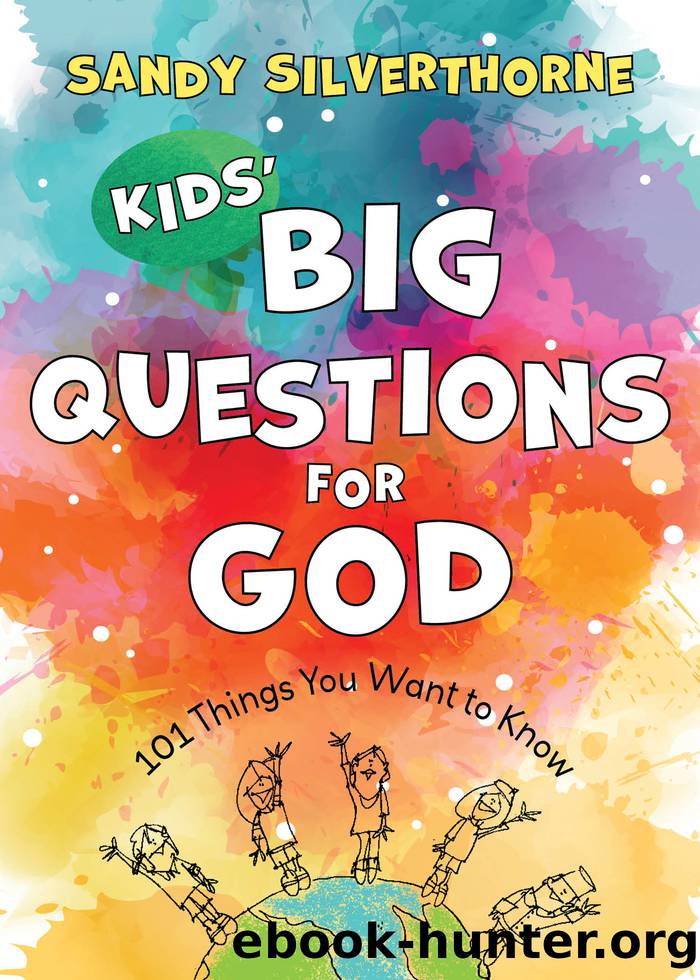 Kids' Big Questions for God by Sandy Silverthorne