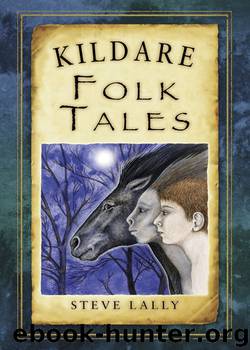 Kildare Folk Tales by Lally Steve;