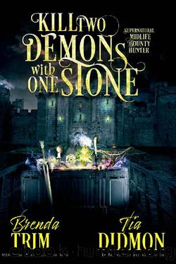 Kill Two Demons With One Stone: Paranormal Women's Fiction (Supernatural Midlife Bounty Hunter) (Shrouded Nation Book 11) by Brenda Trim & Tia Didmon
