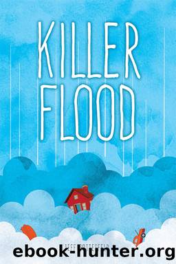 Killer Flood by Gottesfeld Jeff