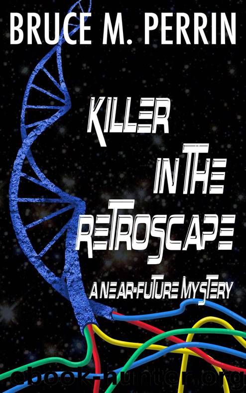 Killer in the Retroscape by Bruce M Perrin